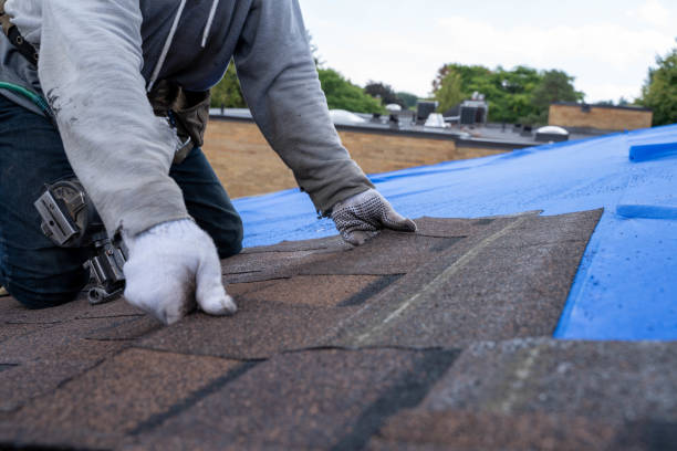 Best Roof Maintenance Services  in Campbell, FL