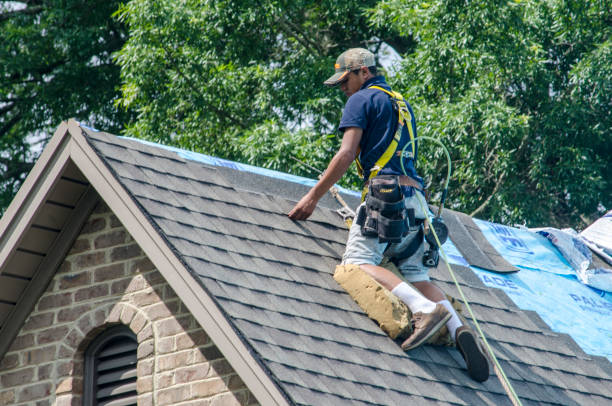 Quick and Trustworthy Emergency Roof Repair Services in Campbell, FL